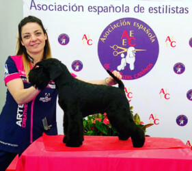 Solo de CAN RAYO (20 meses)