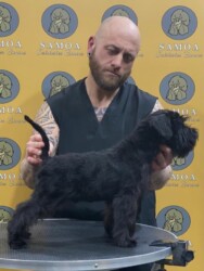 Unik de CAN RAYO “Niko” (3,5 meses)