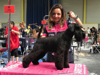 William Wallace de Can Rayo “Wallace” (16 meses)