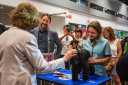 Su Majestad dándonos la Enhorabuena por el WW puppy de “Kenya” en World Dog Show Madrid 2020 (2022) - Schnauzer miniatura negro