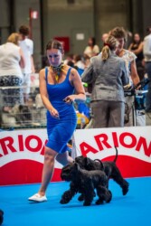 Ch. Europa One Love de Can Rayo & Ch.J Europa Derek Bell de Can Rayo & Francesca Bertini