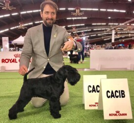 SOLO DE CAN RAYO (con 2 años en 2020)